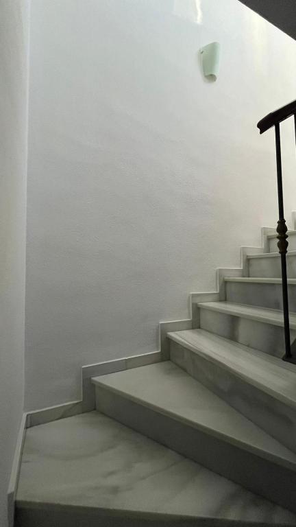 Casa Viña Malaga - 4