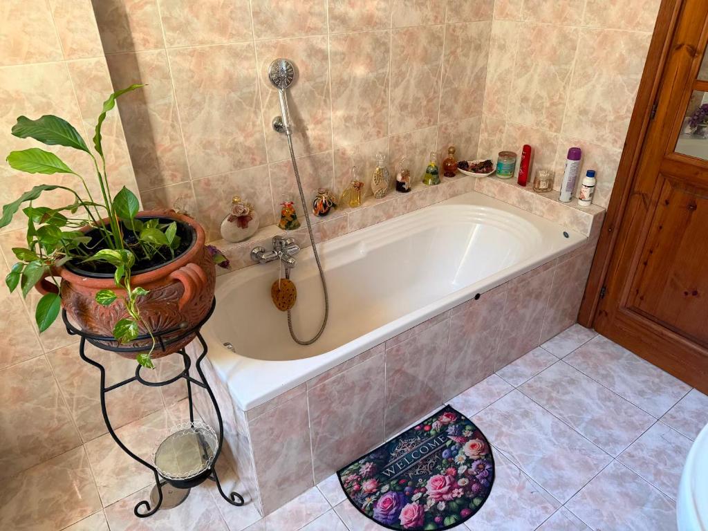 Due per San Lo - Tourist rental - 5