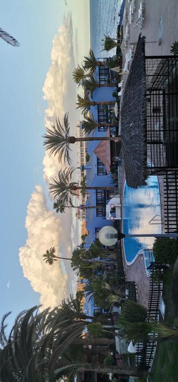 Sun Club 557 - 2