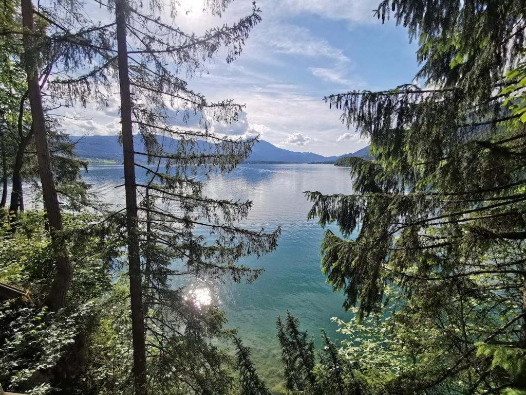 Mountain Lake Suite - 3