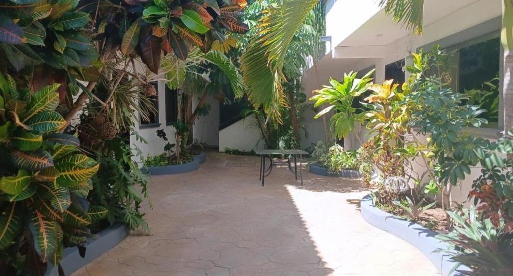 Authentic villa near 5th Avenue - 2