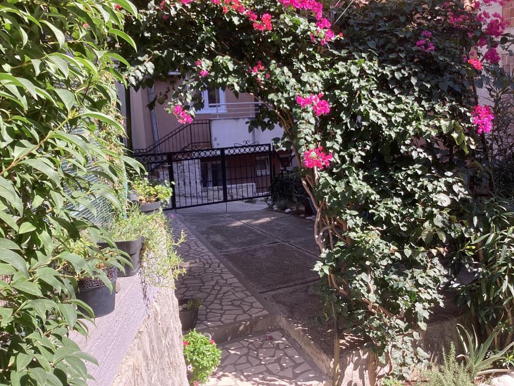 Casa Agava Becici - 5