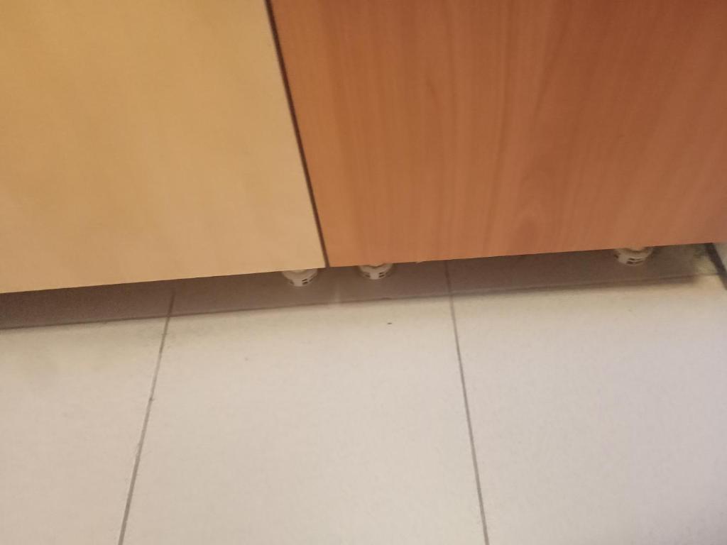 Träume bleibe in den Bergen Apartment Karl - 3