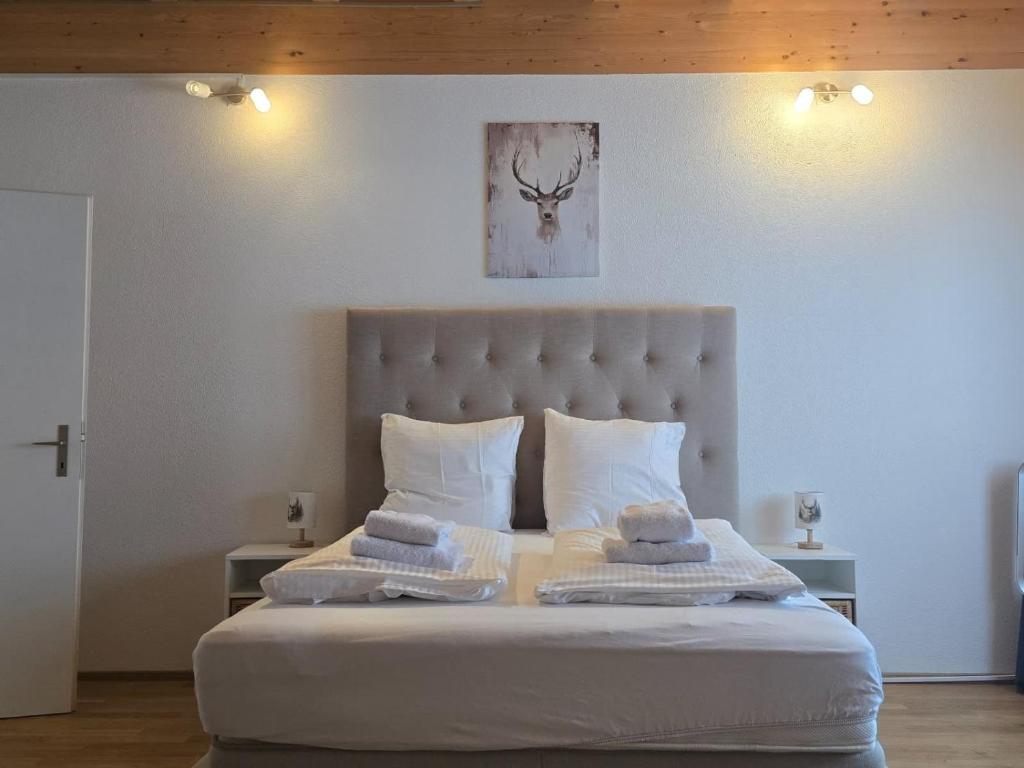 Jungfrau Penthouse - Aare Jungfrau AG - 4