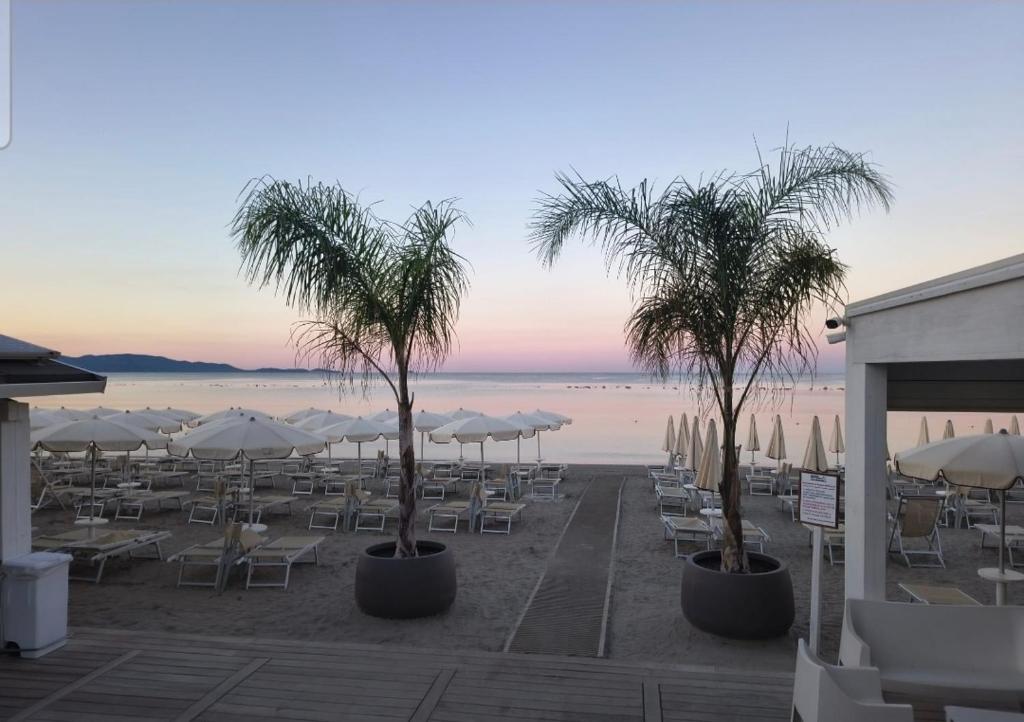 Pratoranieri sun e terrace - 3