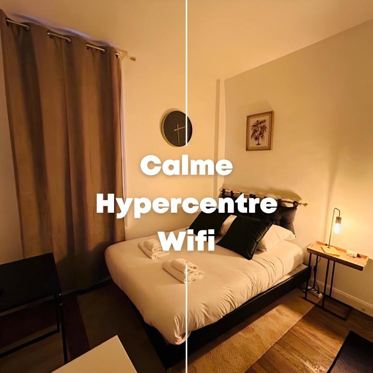 La Suite Briand Hypercentre - 2