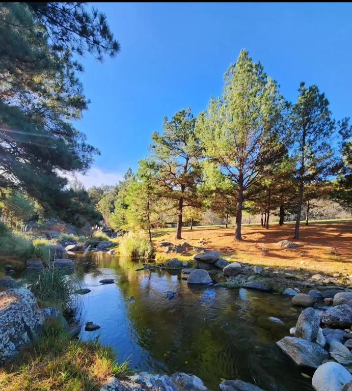 Cabaña de ensueño en las sierras de córdoba - 2