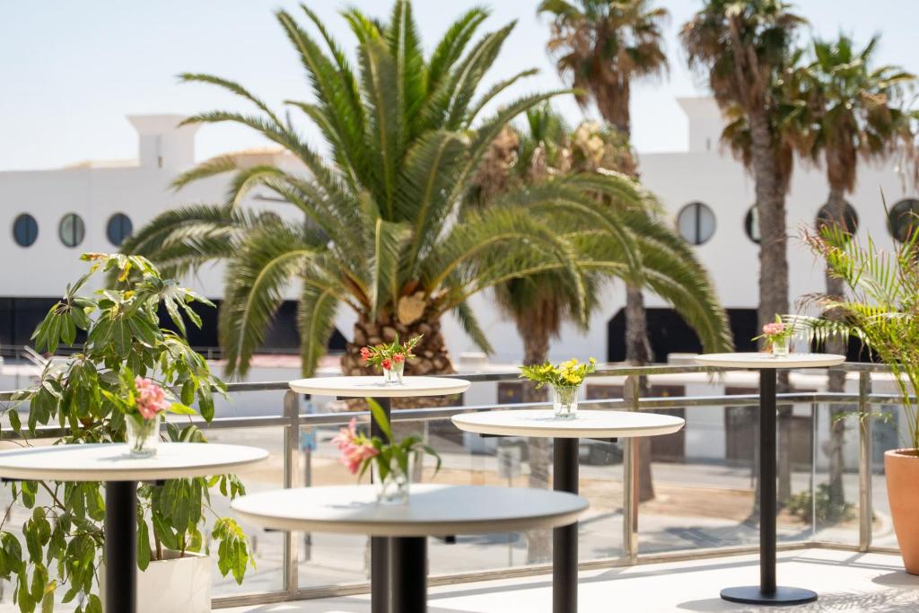 INNSiDE by Meliá Alicante Porta Maris - 4