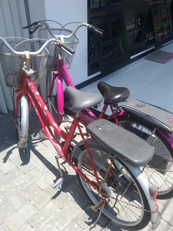 Sports and activities