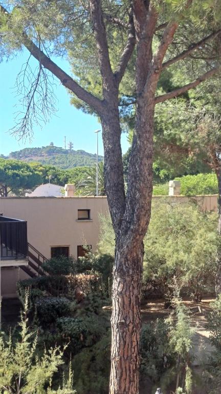 L'Écrin du Sud 4P Élégant, Clim , Piscine, 50m Village Naturiste - 4