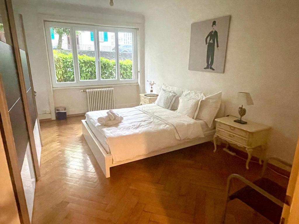 Beautiful and spacious apartment in Down town - 2