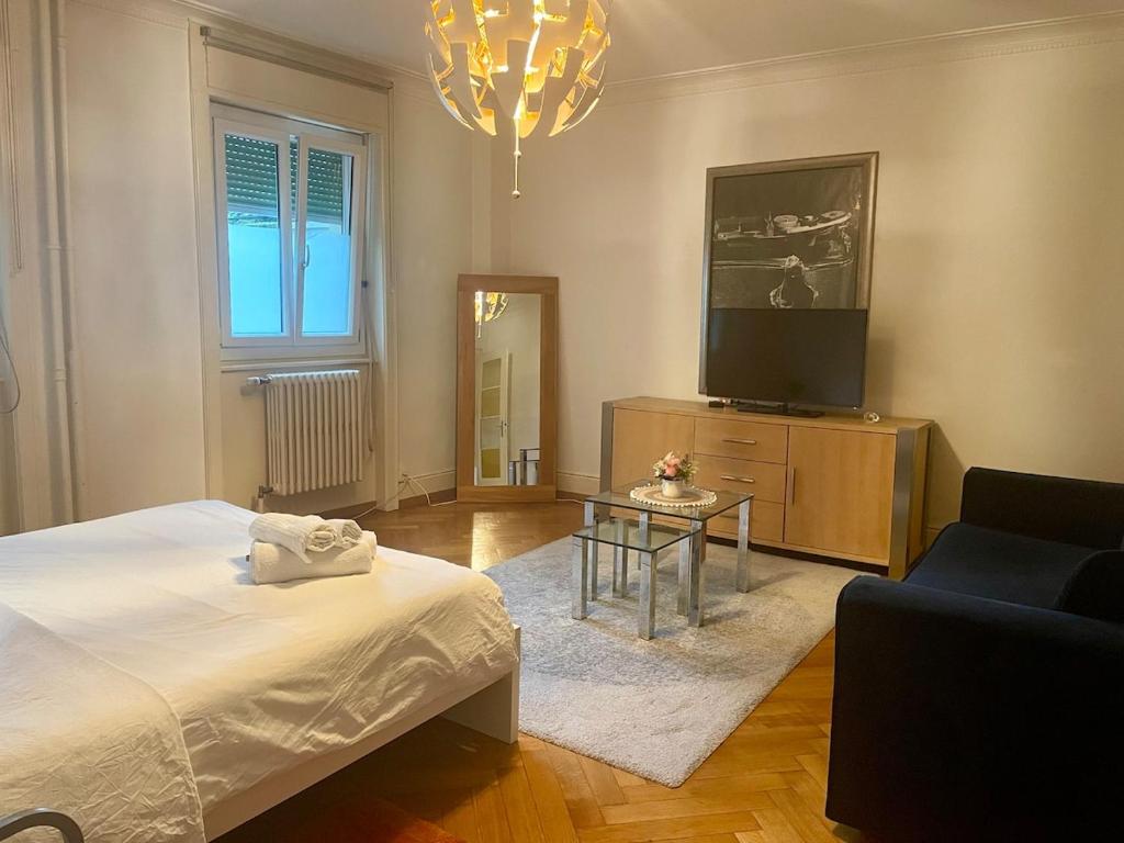 Beautiful and spacious apartment in Down town - 5
