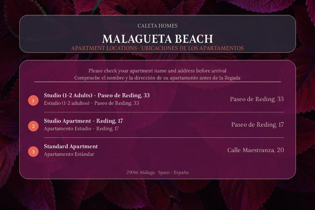 Malagueta Beach - 3