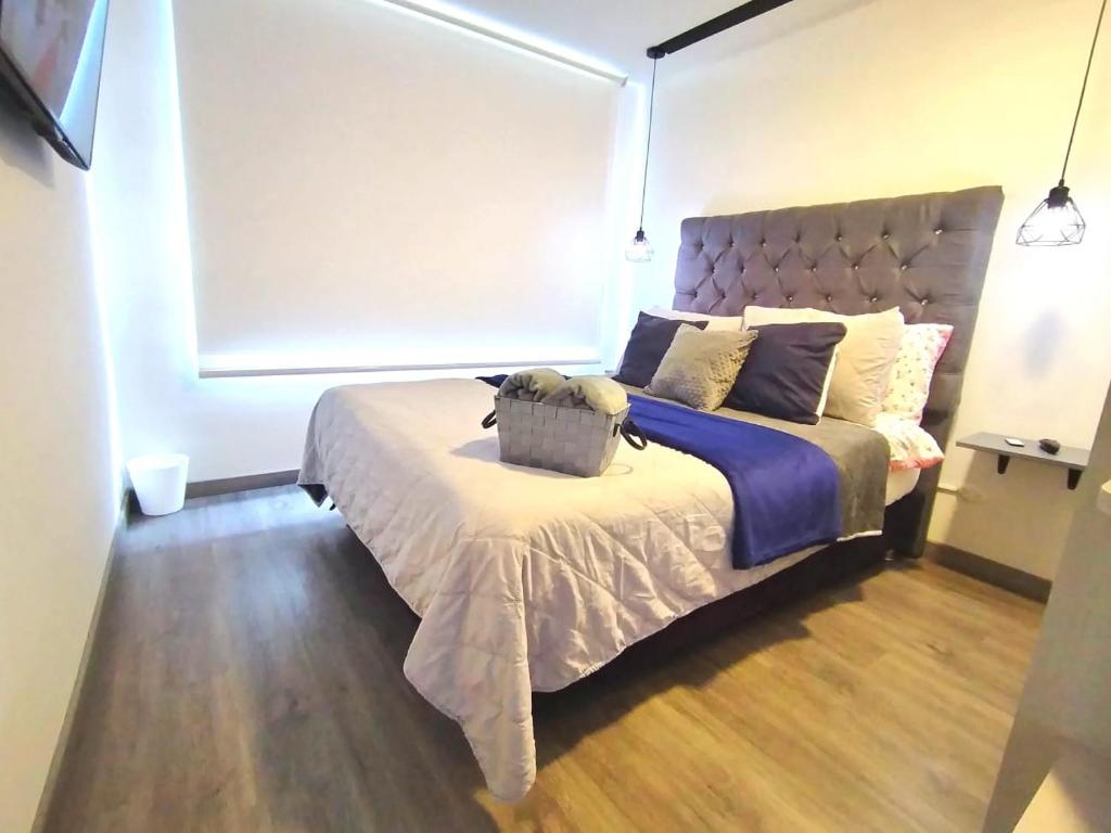 Loft ELA Confort - 5
