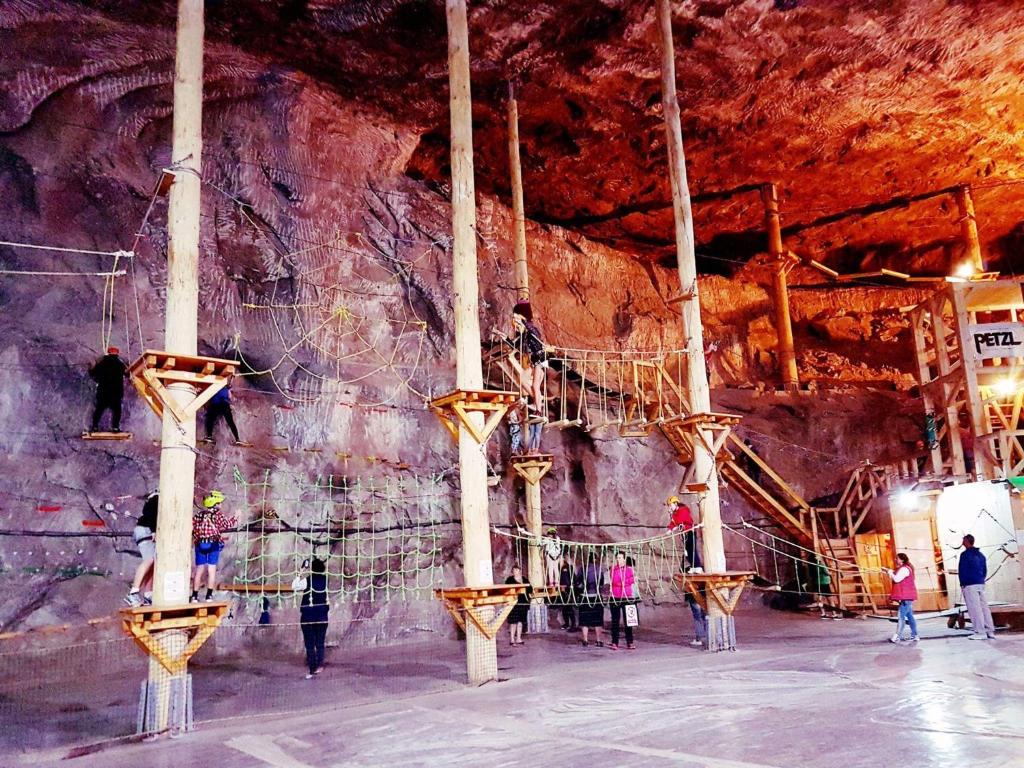 スポーツ/アクティビティ