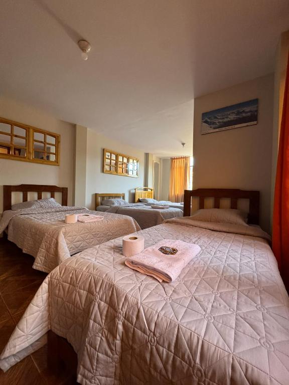 toma's hostel - 5