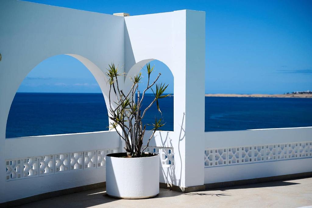 Luxury Refuge - 4