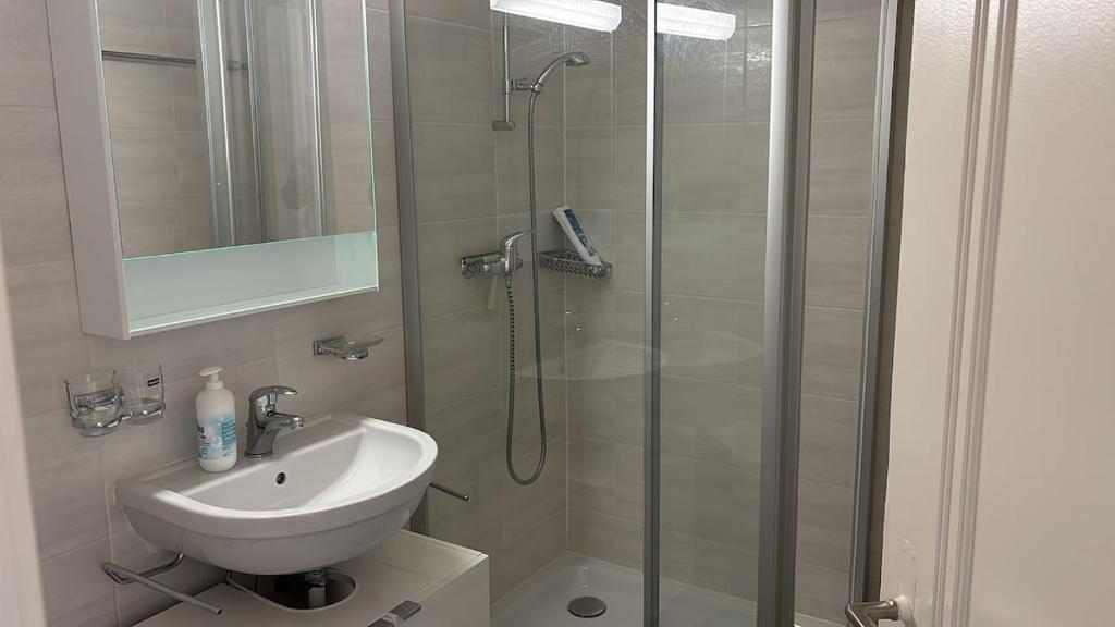 Fully Furnished down town - 3