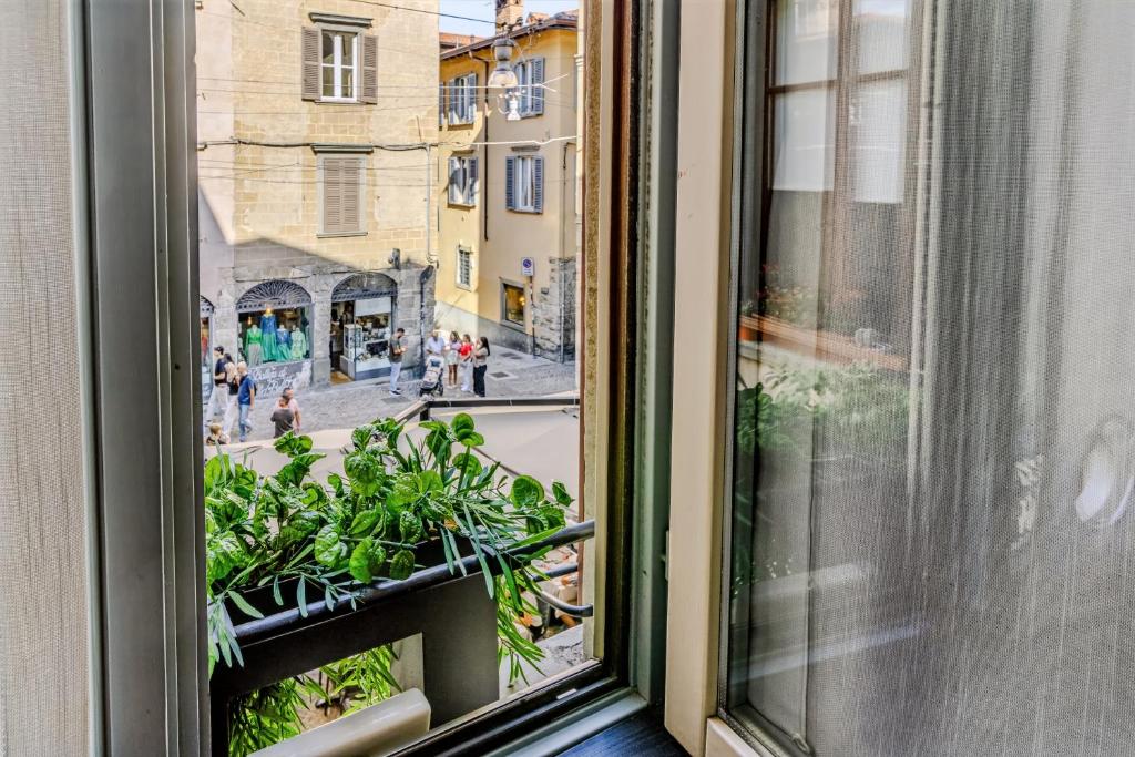Colleoni Suite, Città Alta - 4