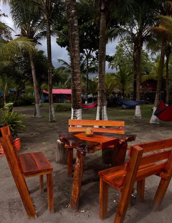 TORTUGA BAY Eco Hotel - 5
