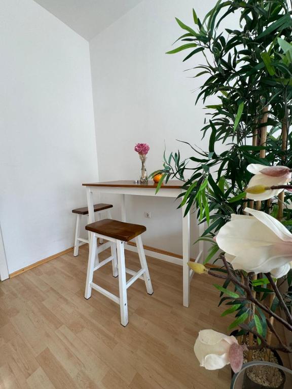 Modern apartment near Oktoberfest - 4