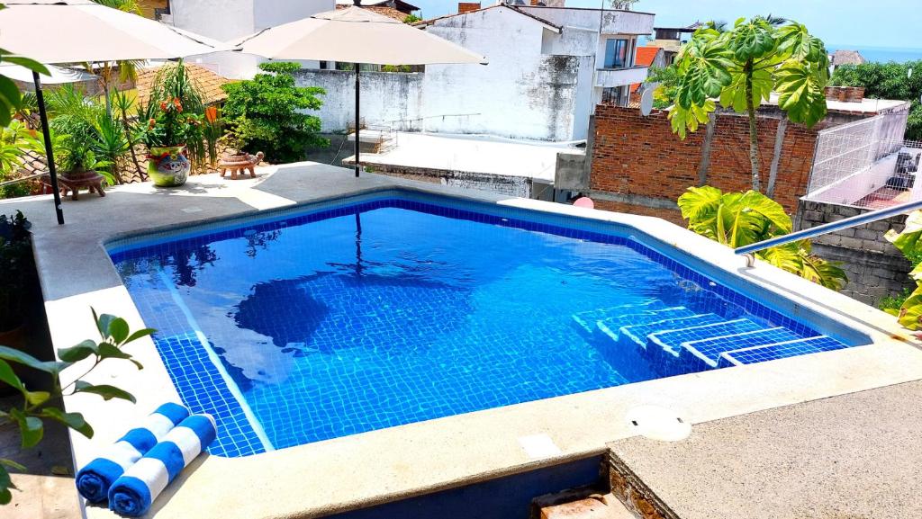 Miguel's Mirador Ocean-View Studio, Hammock Terrace, Heated Pool, Walkable - 3