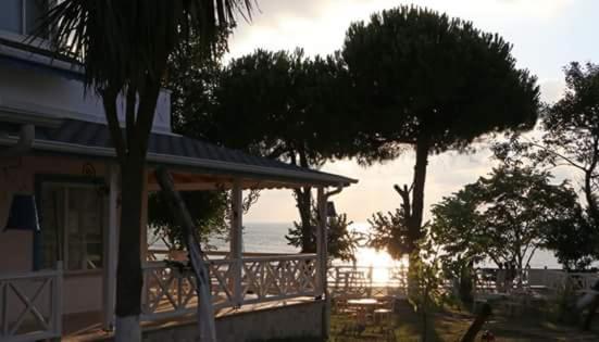 Ziya Bey Sahil Evleri photo