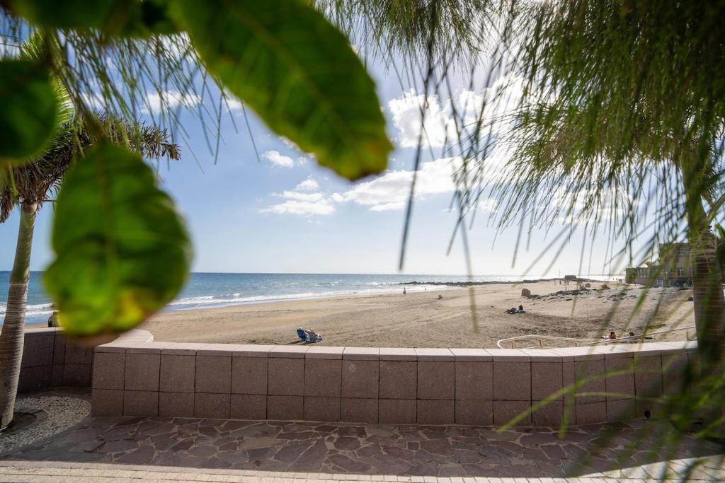 Canary-holiday oceanfront apartment Tanausú 4 - 3