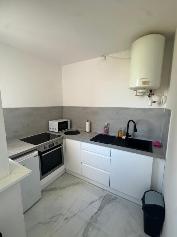 Charmant studio renové au coeur de lyon 3 - 1