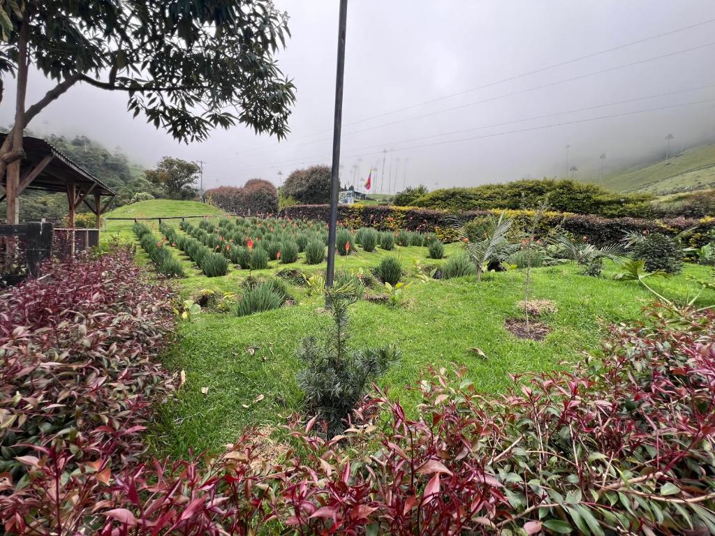 morada del bosque - 2
