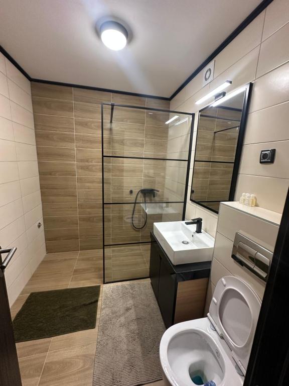 Apartments SUNCANA PLANINA - 4