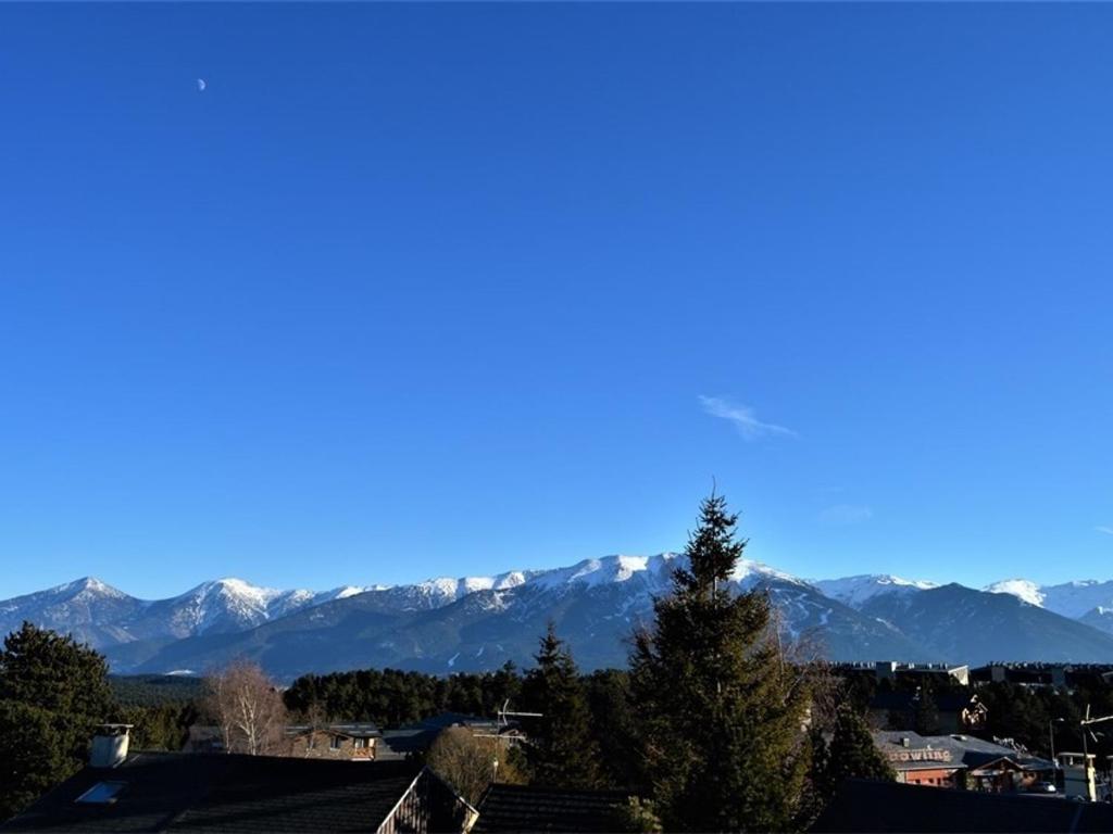 Ravissant chalet, animaux admis - 6 pers. - FR-1-592-95 - 1