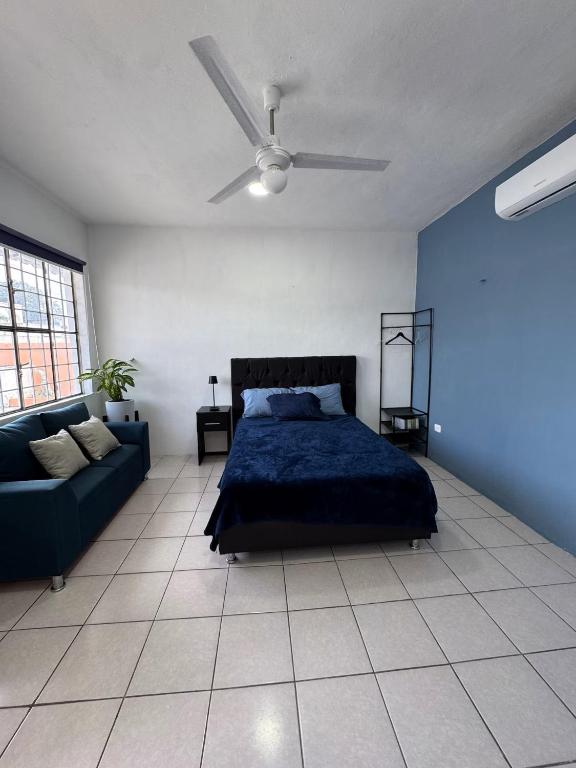 Apartamentos 38 - 4