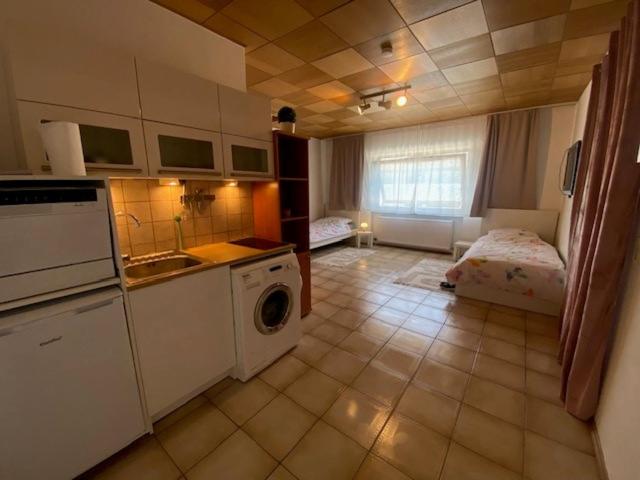 Grosse Wohnung Erdgeschoss - 2