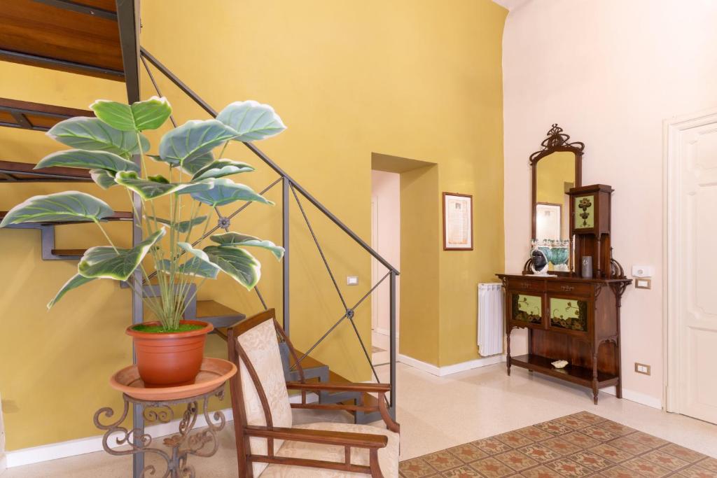Palazzo Zuppardo Apartments - 5