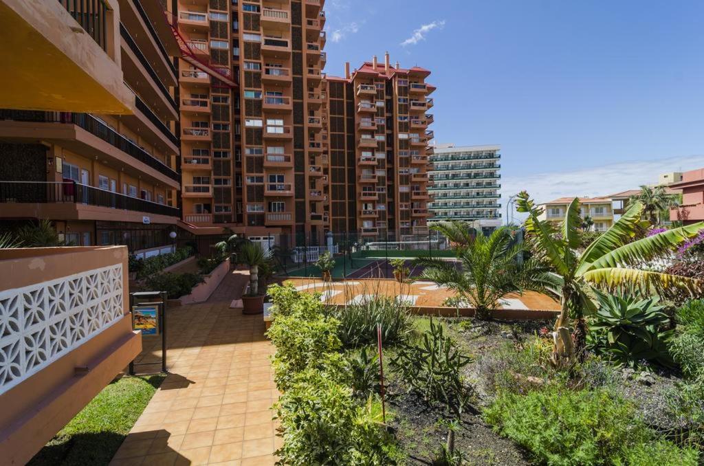 Studio with sea and Teide view balcony - 4