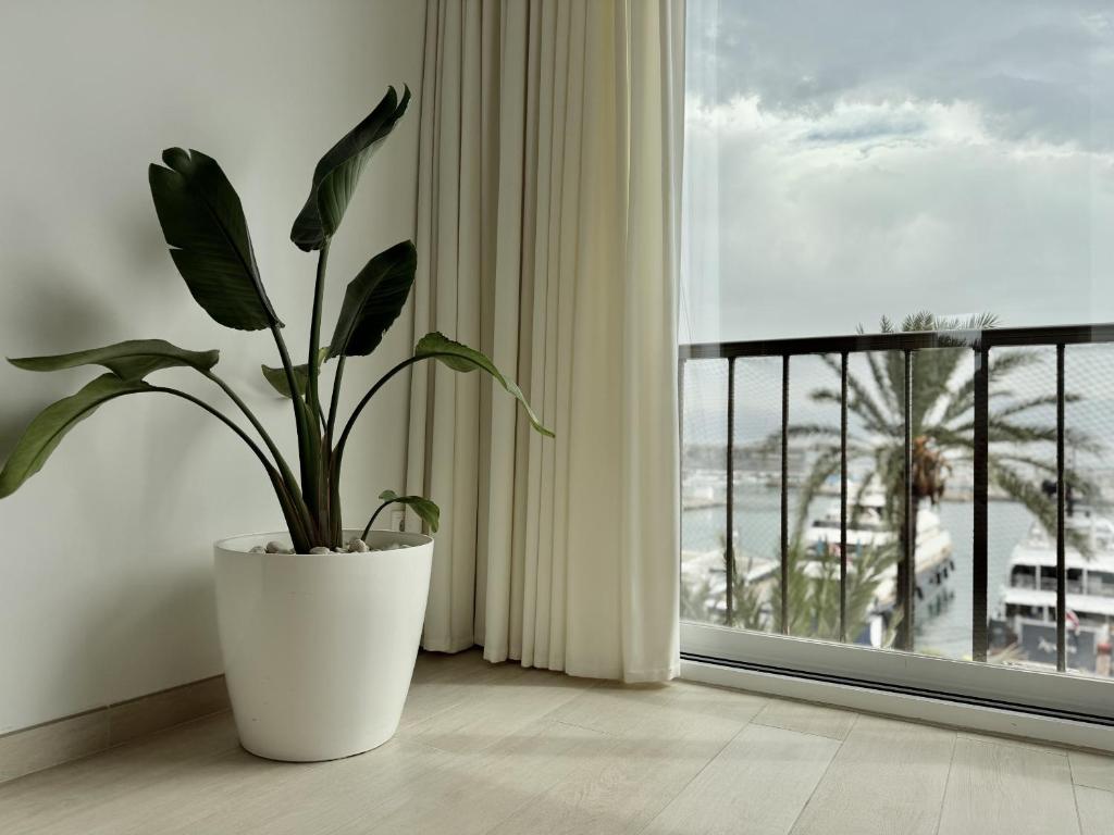 Apartamento en el Puerto con Parking - 4