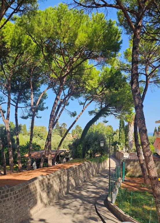 Colomba Blu - Central Sorrento Old Town flat with balcony - 4