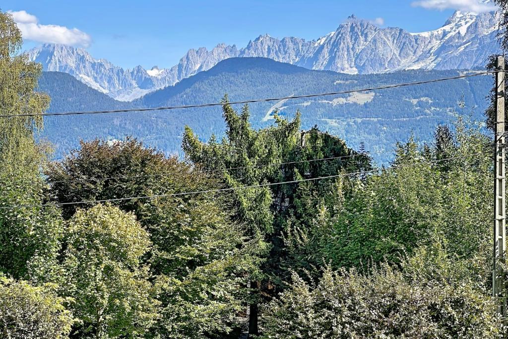 Cosy Studio with Balcony & Mont-Blanc View - 4