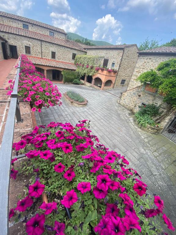 Ancient mill in Cortona - 1