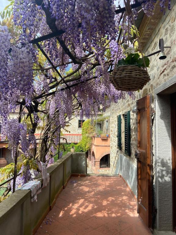 Ancient mill in Cortona - 2