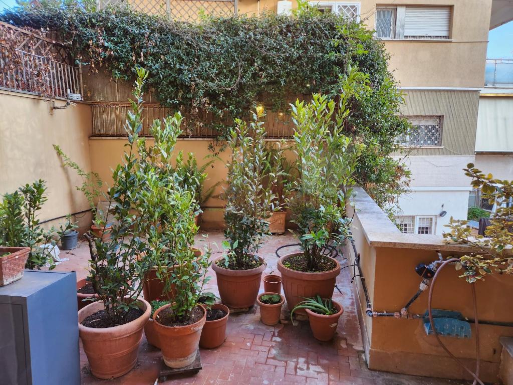 Maison San Pio - 3