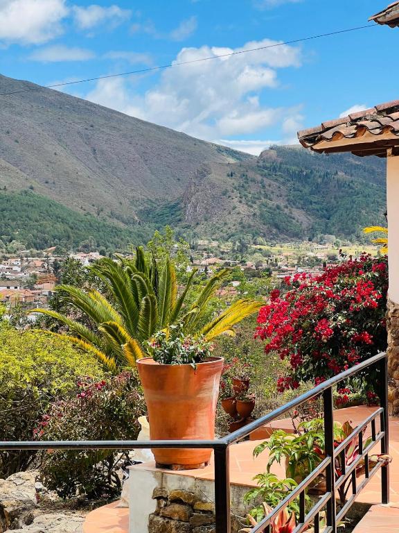 Villa con increíble vista con parking pet-friendly BBQ y Wi-Fi - 3