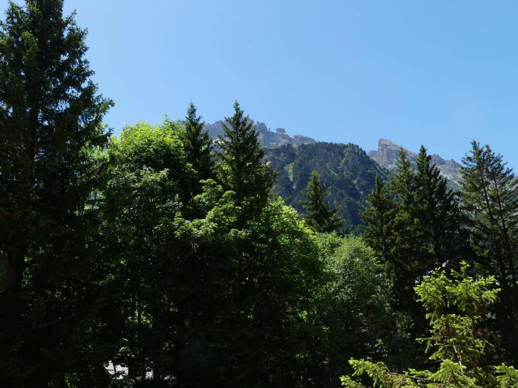 Studio-cabine proche des pistes - 4 pers. - FR-1-906-98 - 5