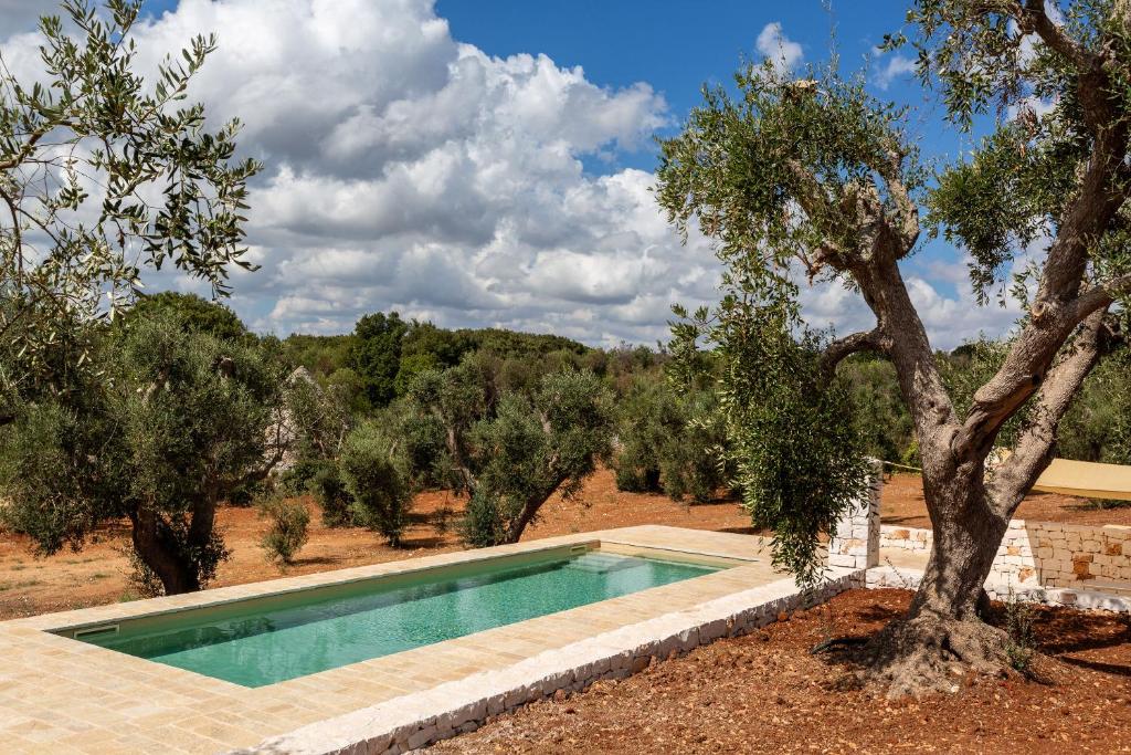 Casa tra gli Ulivi by Perle di Puglia - 4