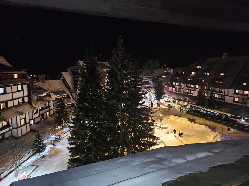 Kockica Kopaonik - 2