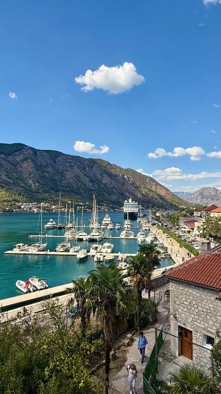 BBK Old Town Apartment - 4