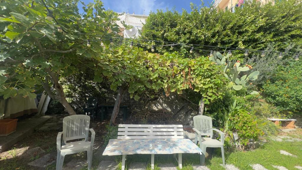 UN PARADISO MARINO sul mare di genova QUINTO - 3