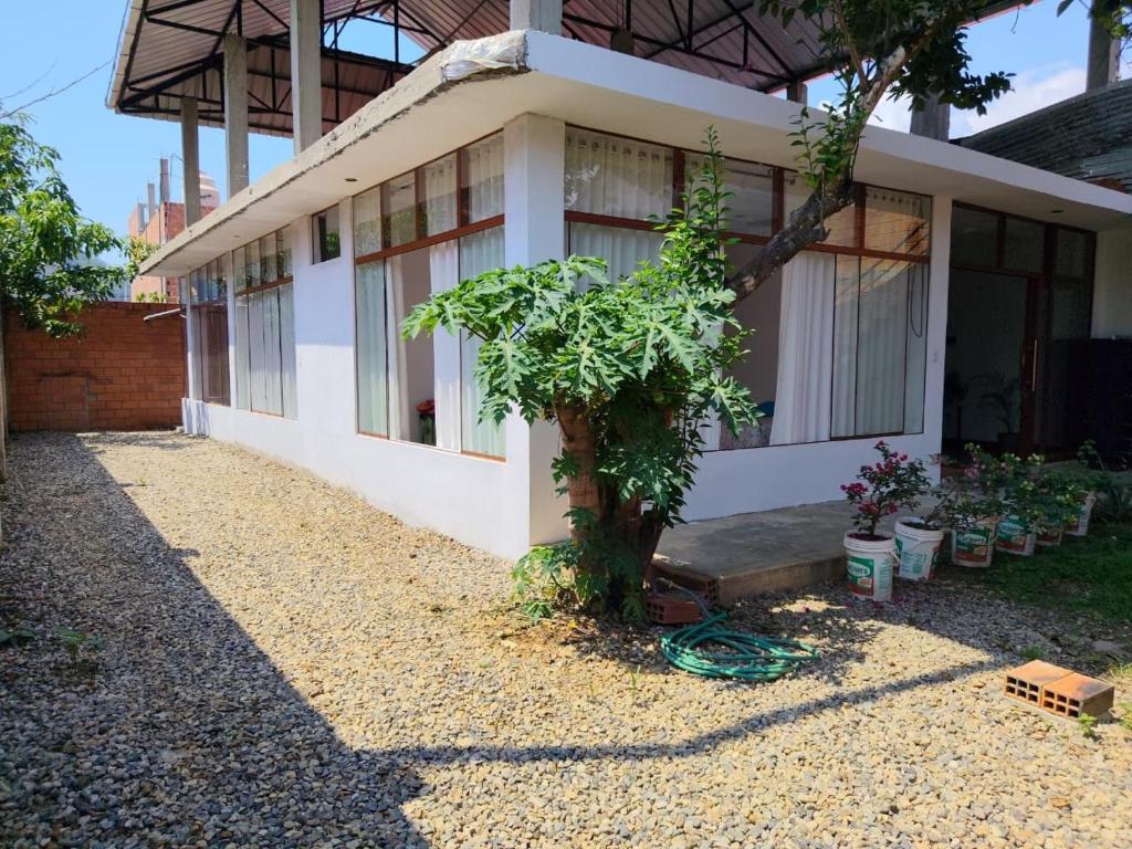 Emilu House - 3