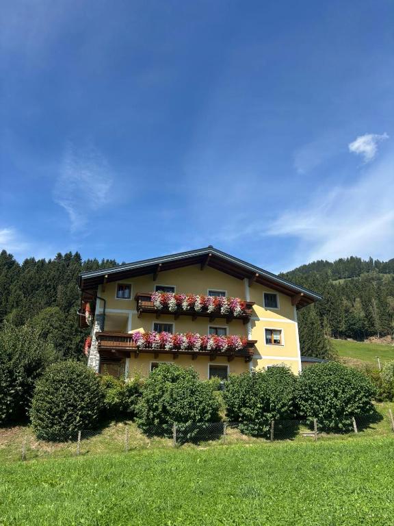 Ebster, Ferienwohnung - 1